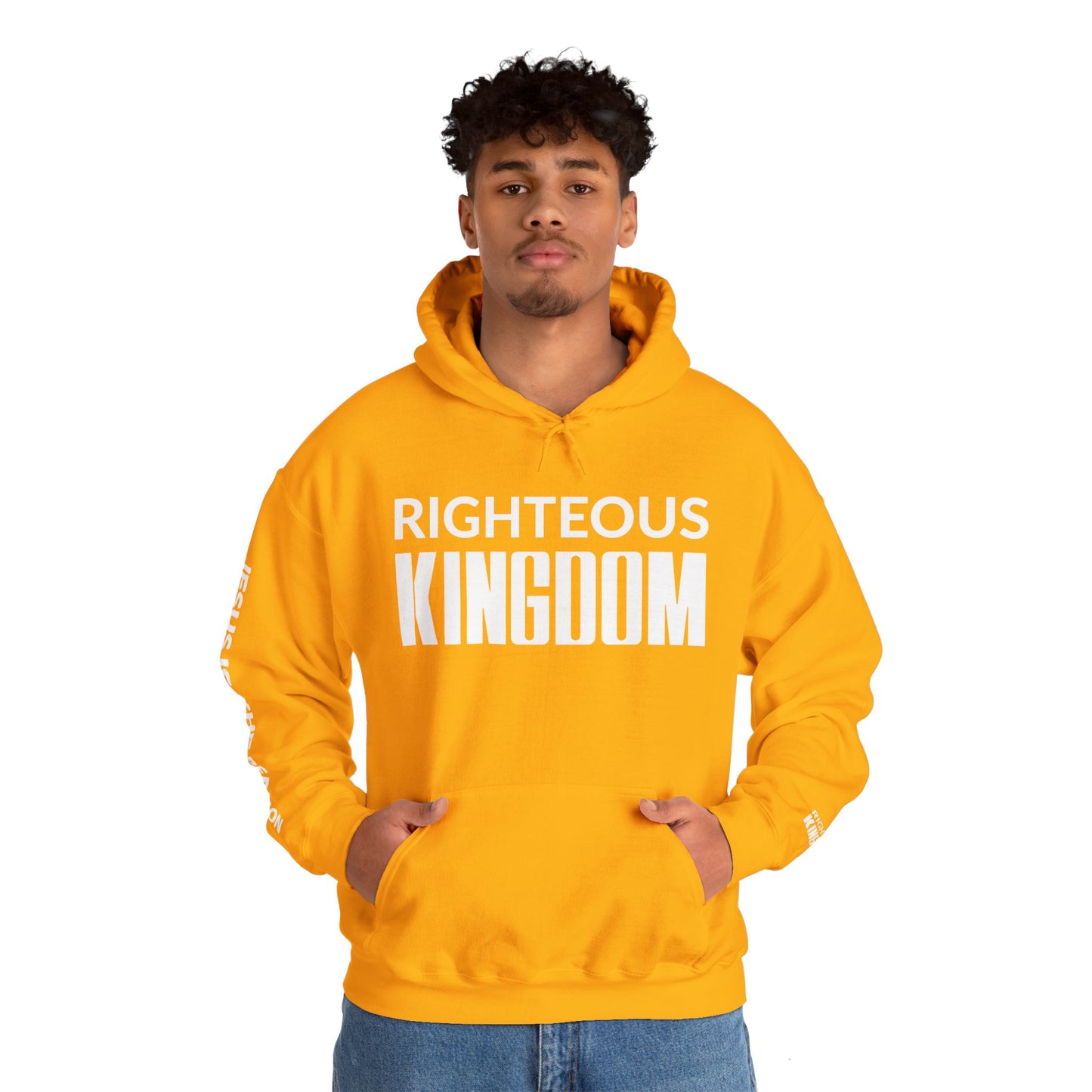 Jesus Is The Reason (Unisex Heavy Blend™ Hooded Sweatshirt)