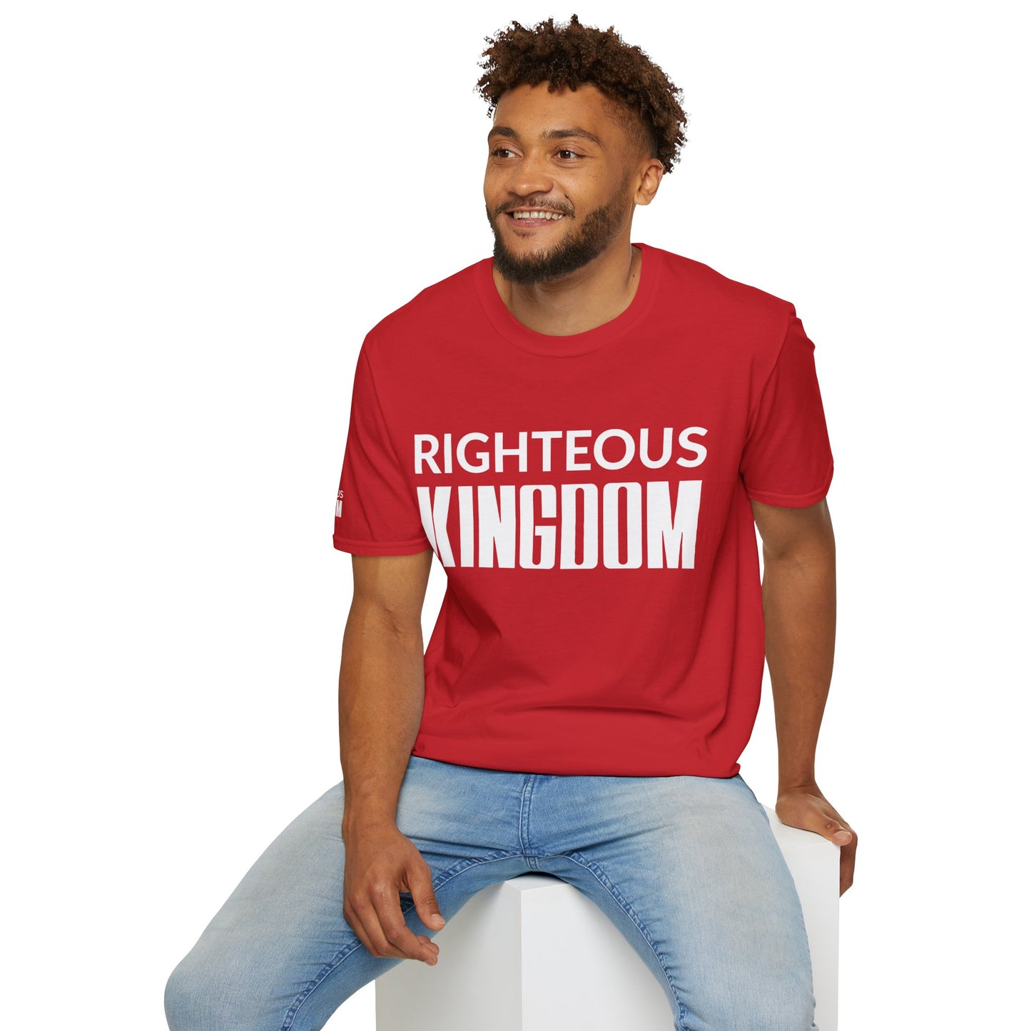 Jesus Is The Reason (Unisex Softstyle T-Shirt)