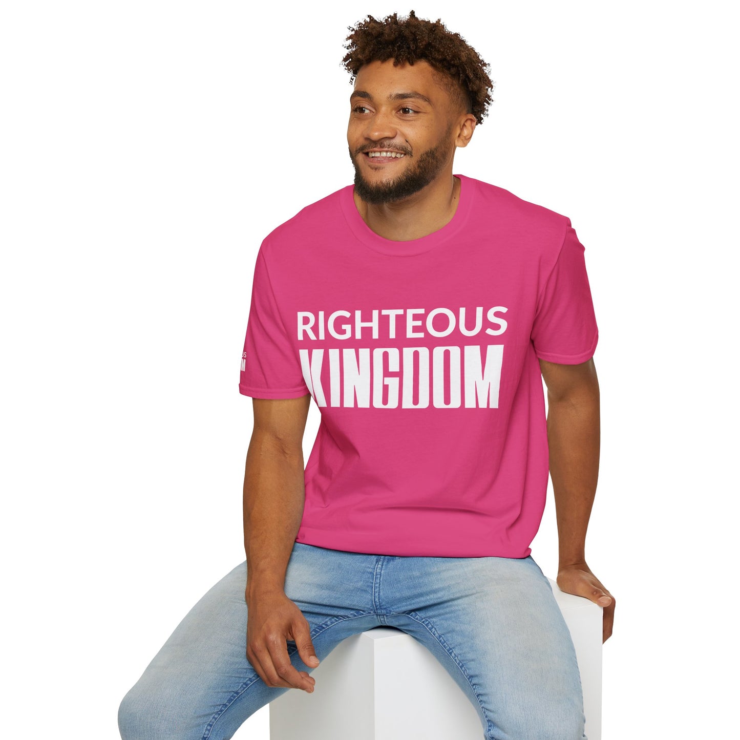 Jesus Is The Reason (Unisex Softstyle T-Shirt)