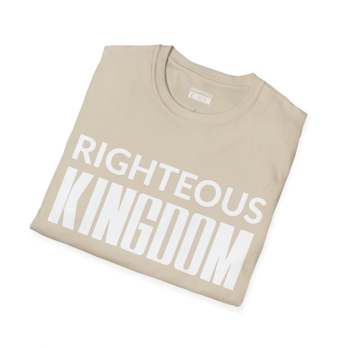 Jesus Is The Reason (Unisex Softstyle T-Shirt)