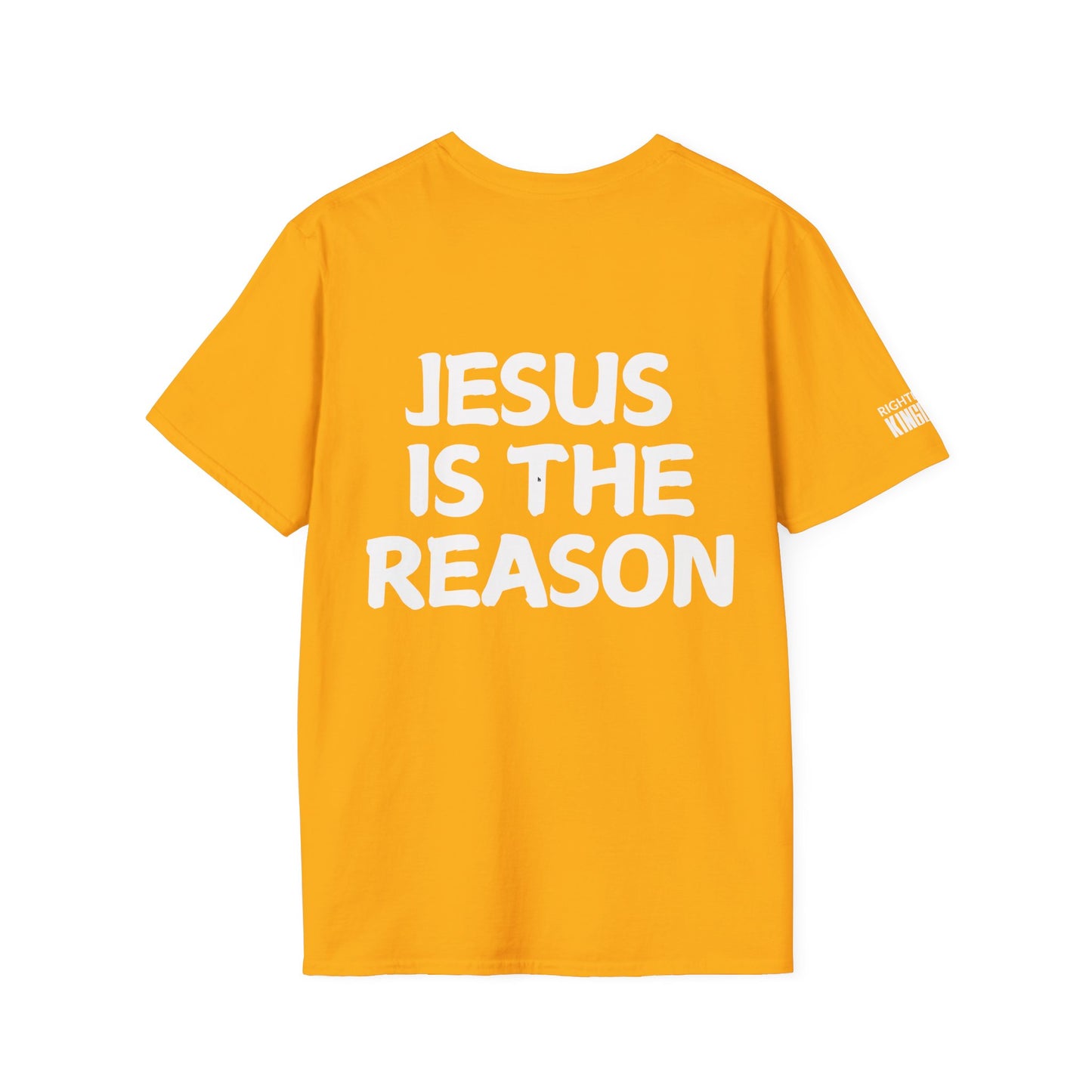 Jesus Is The Reason (Unisex Softstyle T-Shirt)