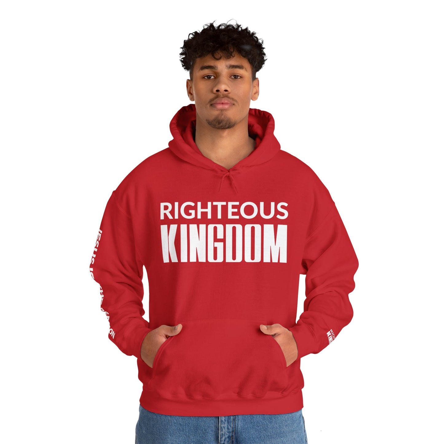 Jesus Is The Reason (Unisex Heavy Blend™ Hooded Sweatshirt)