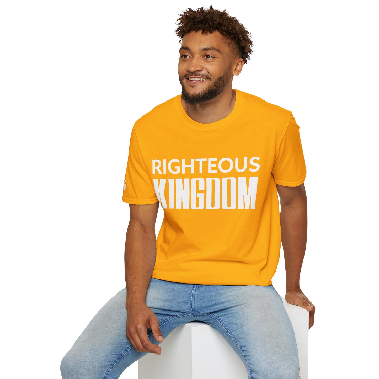 Jesus Is The Reason (Unisex Softstyle T-Shirt)