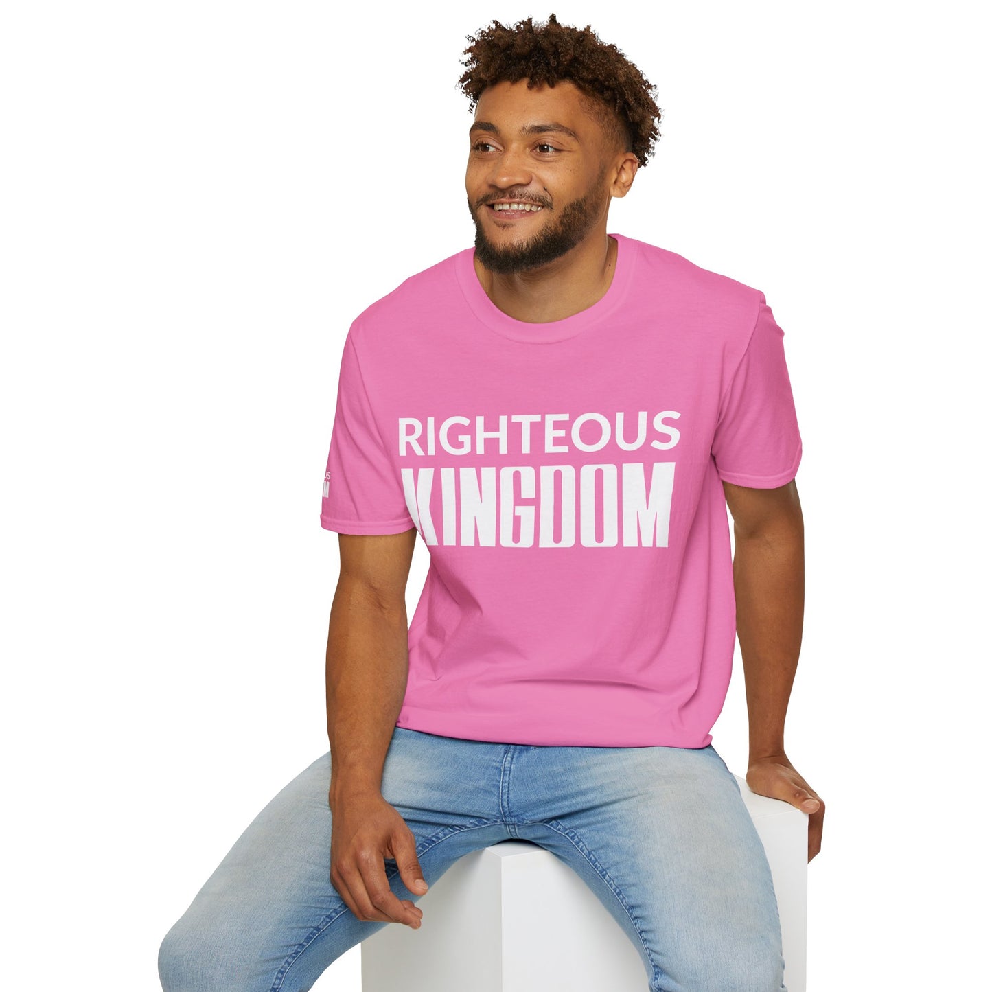 Jesus Is The Reason (Unisex Softstyle T-Shirt)