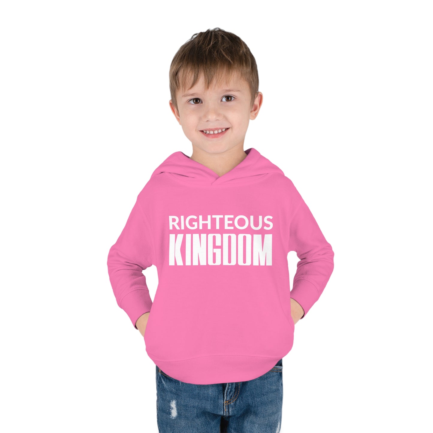 Jesus Is The Reason (Toddler Pullover  Fleece Hoodie)