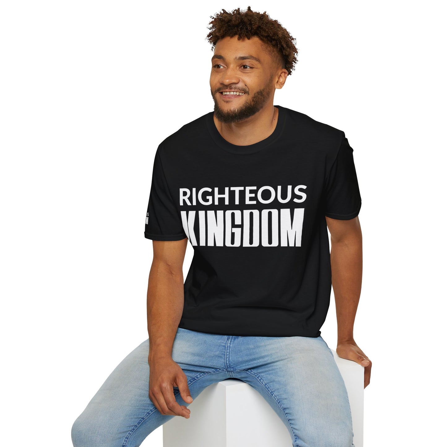 Jesus Is The Reason (Unisex Softstyle T-Shirt)