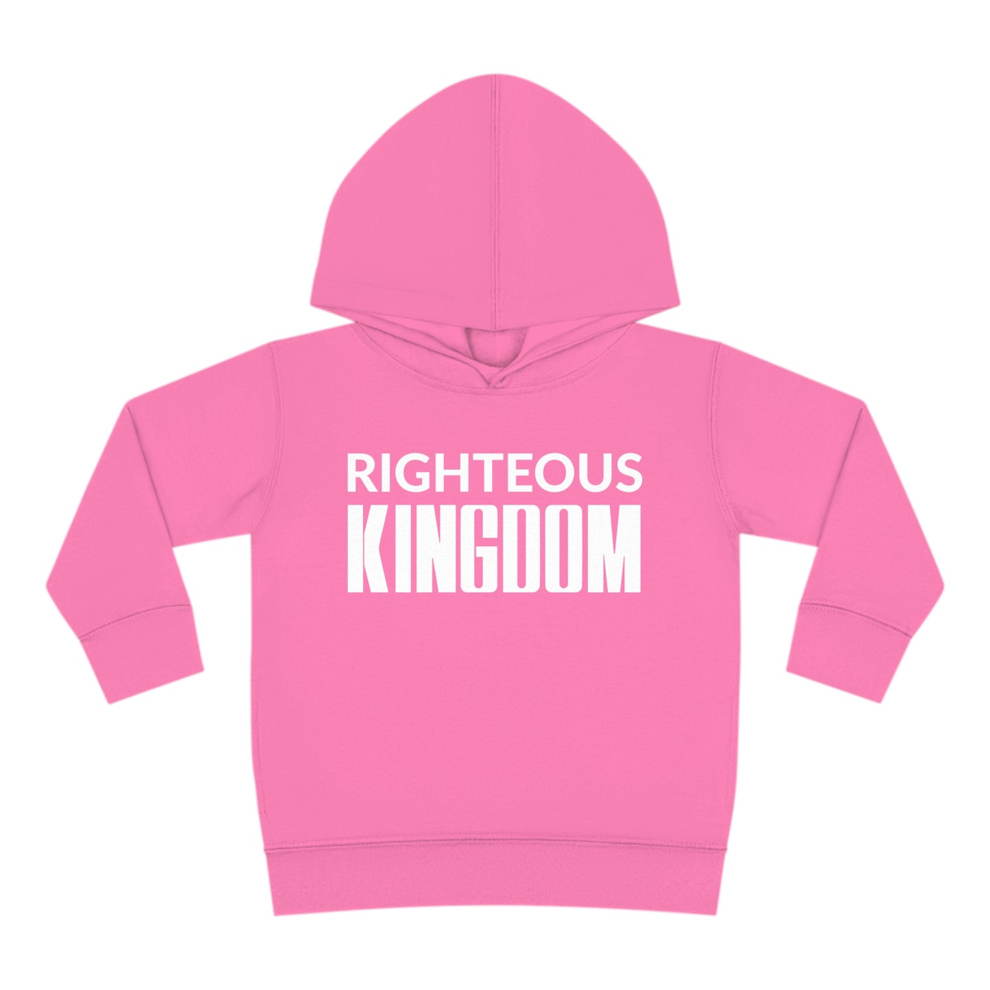 Jesus Is The Reason (Toddler Pullover  Fleece Hoodie)