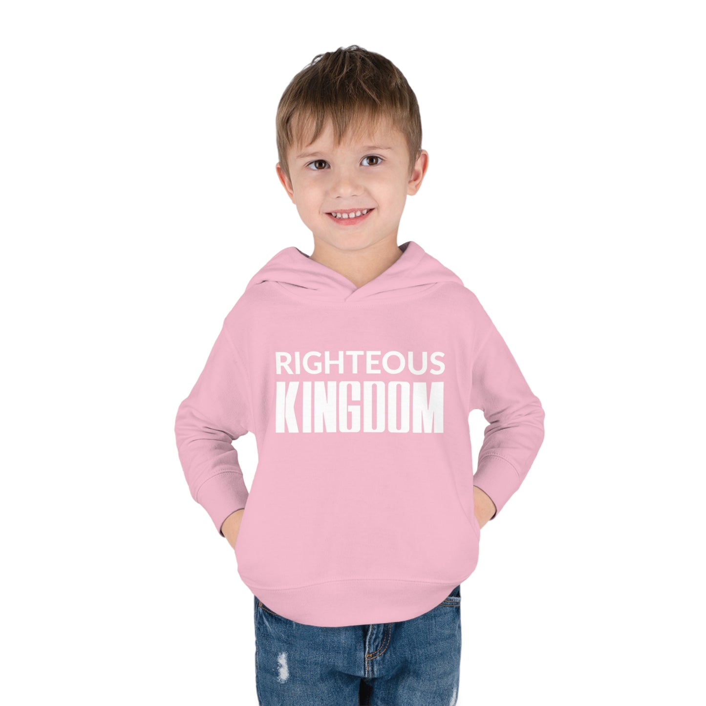 Jesus Is The Reason (Toddler Pullover  Fleece Hoodie)