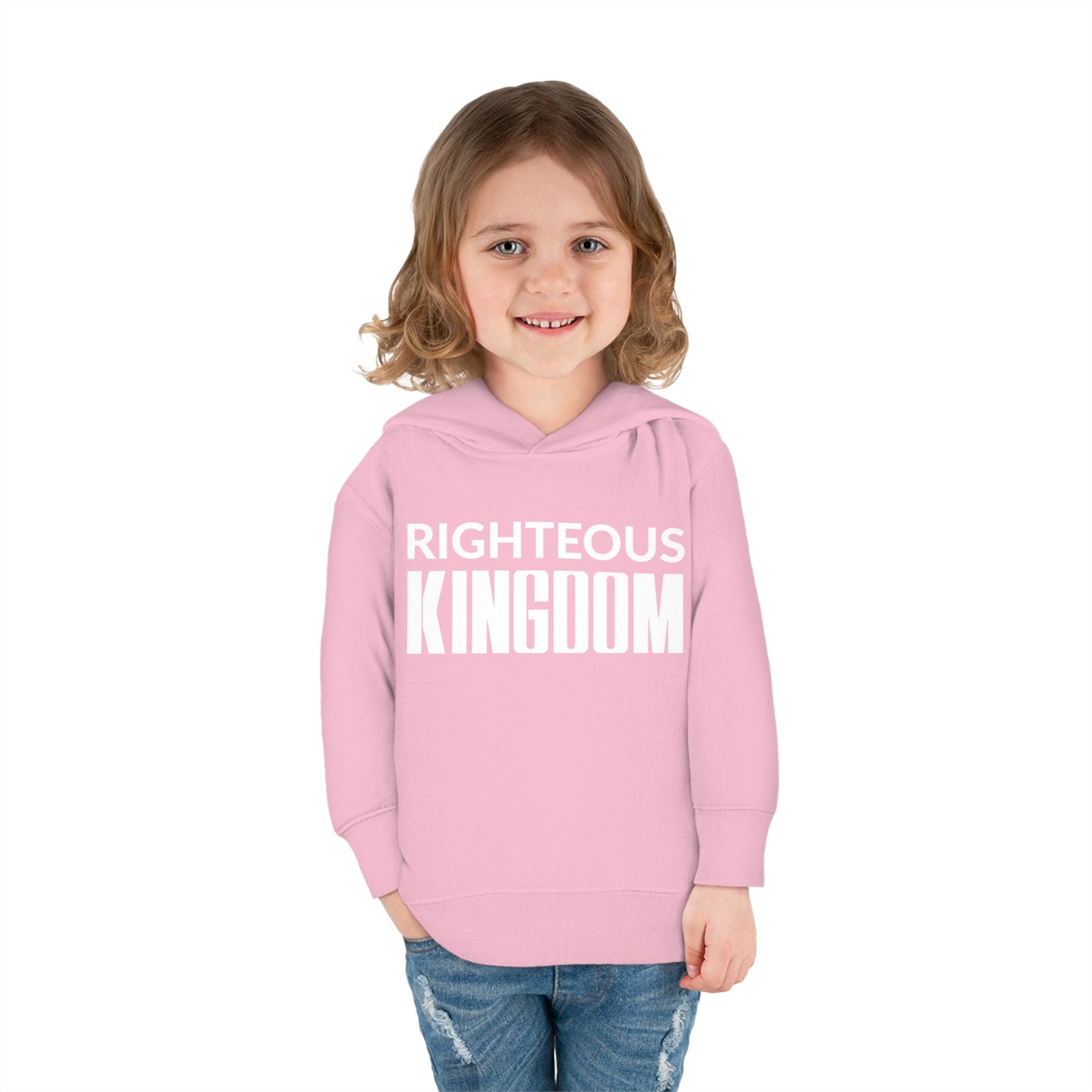 Jesus Is The Reason (Toddler Pullover  Fleece Hoodie)