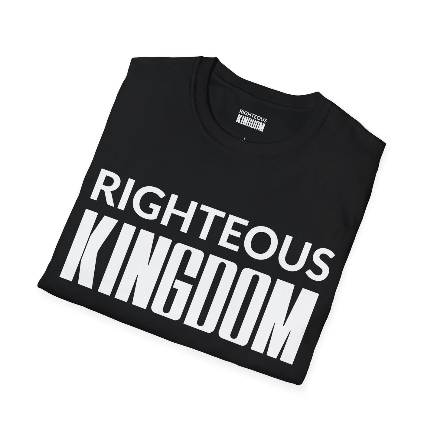 Jesus Is The Reason (Unisex Softstyle T-Shirt)