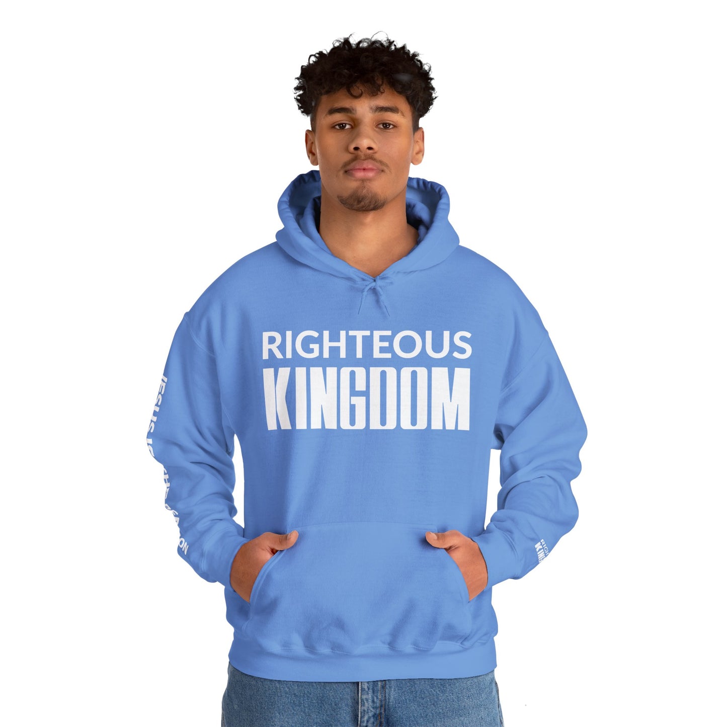 Jesus Is The Reason (Unisex Heavy Blend™ Hooded Sweatshirt)