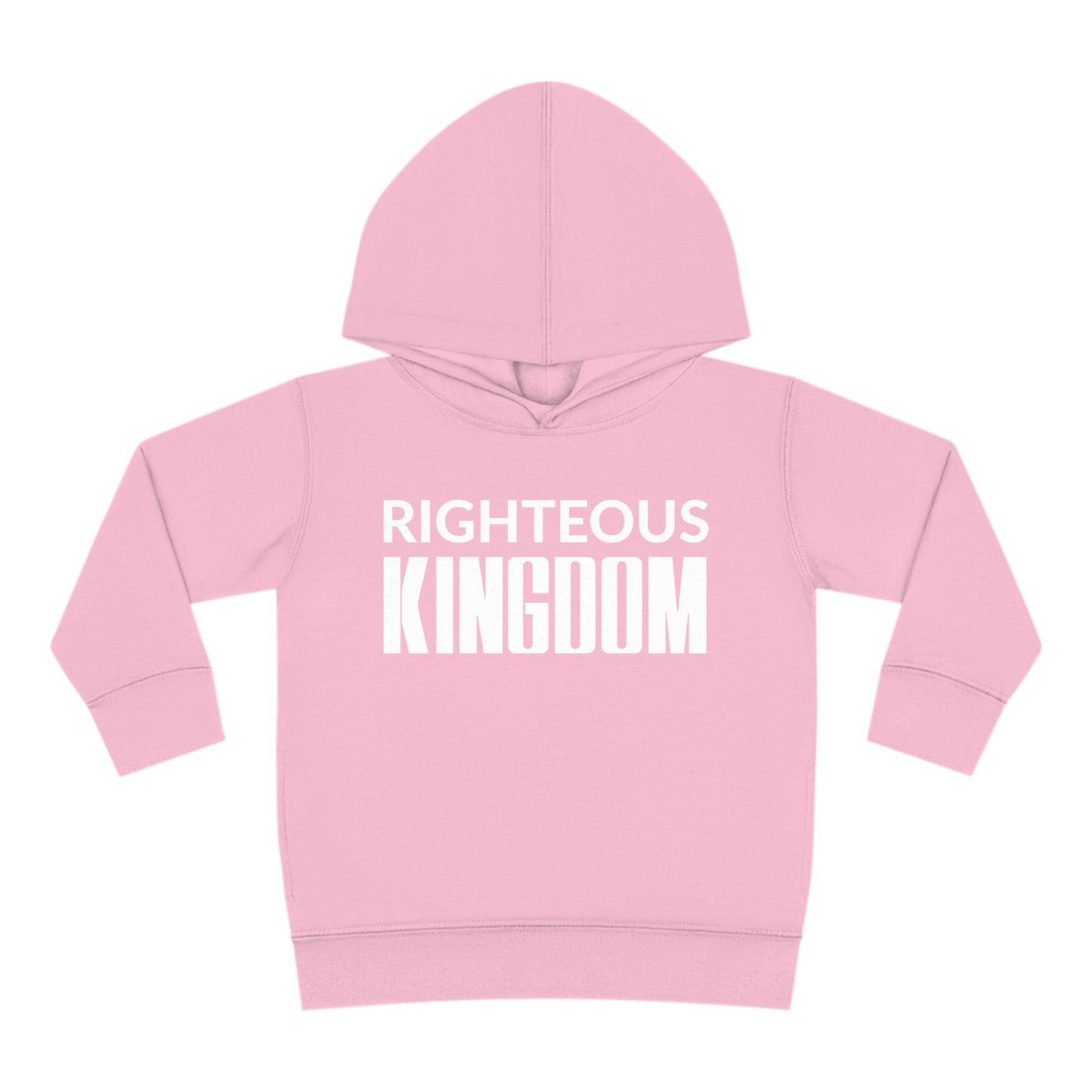 Jesus Is The Reason (Toddler Pullover  Fleece Hoodie)