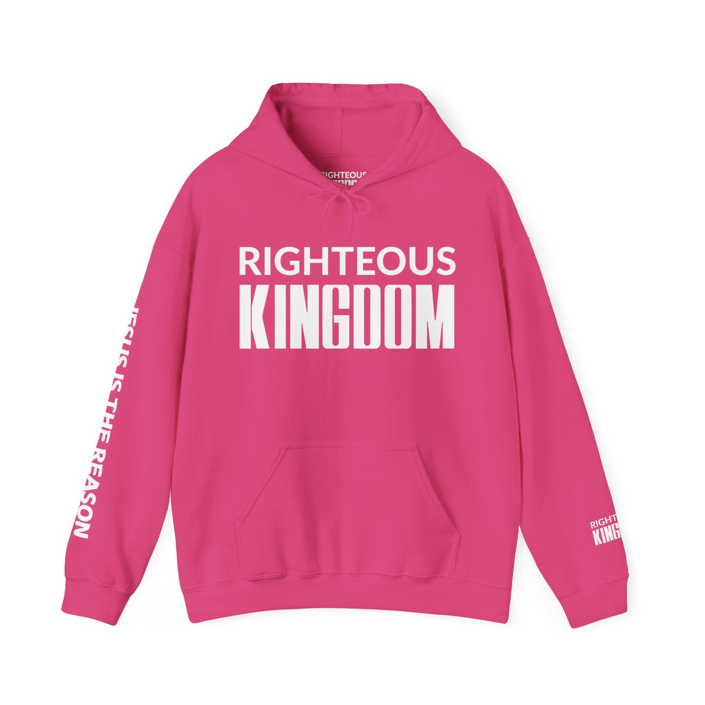 Jesus Is The Reason (Unisex Heavy Blend™ Hooded Sweatshirt)