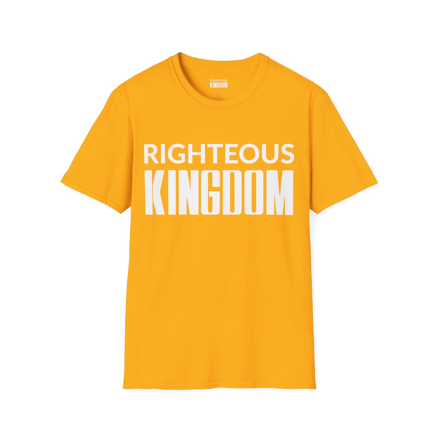 Jesus Is The Reason (Unisex Softstyle T-Shirt)