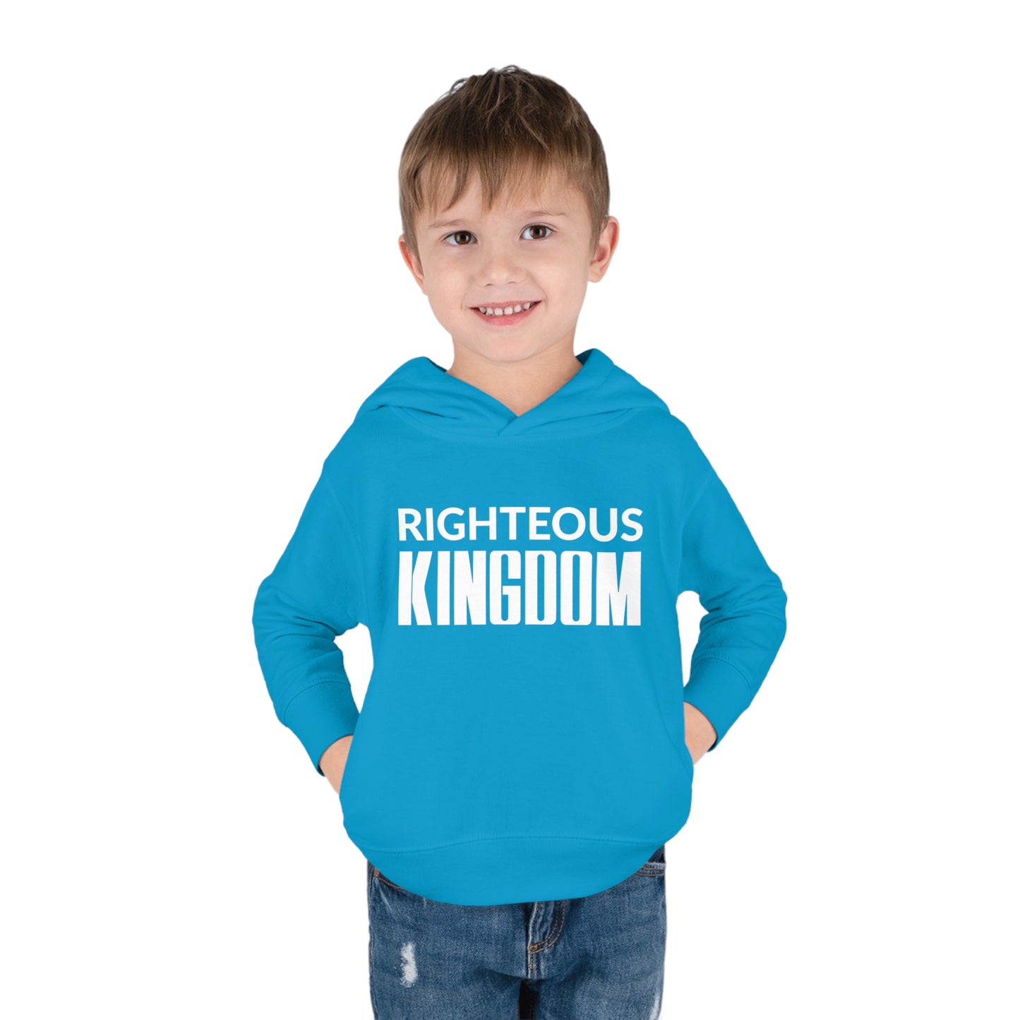 Jesus Is The Reason (Toddler Pullover  Fleece Hoodie)