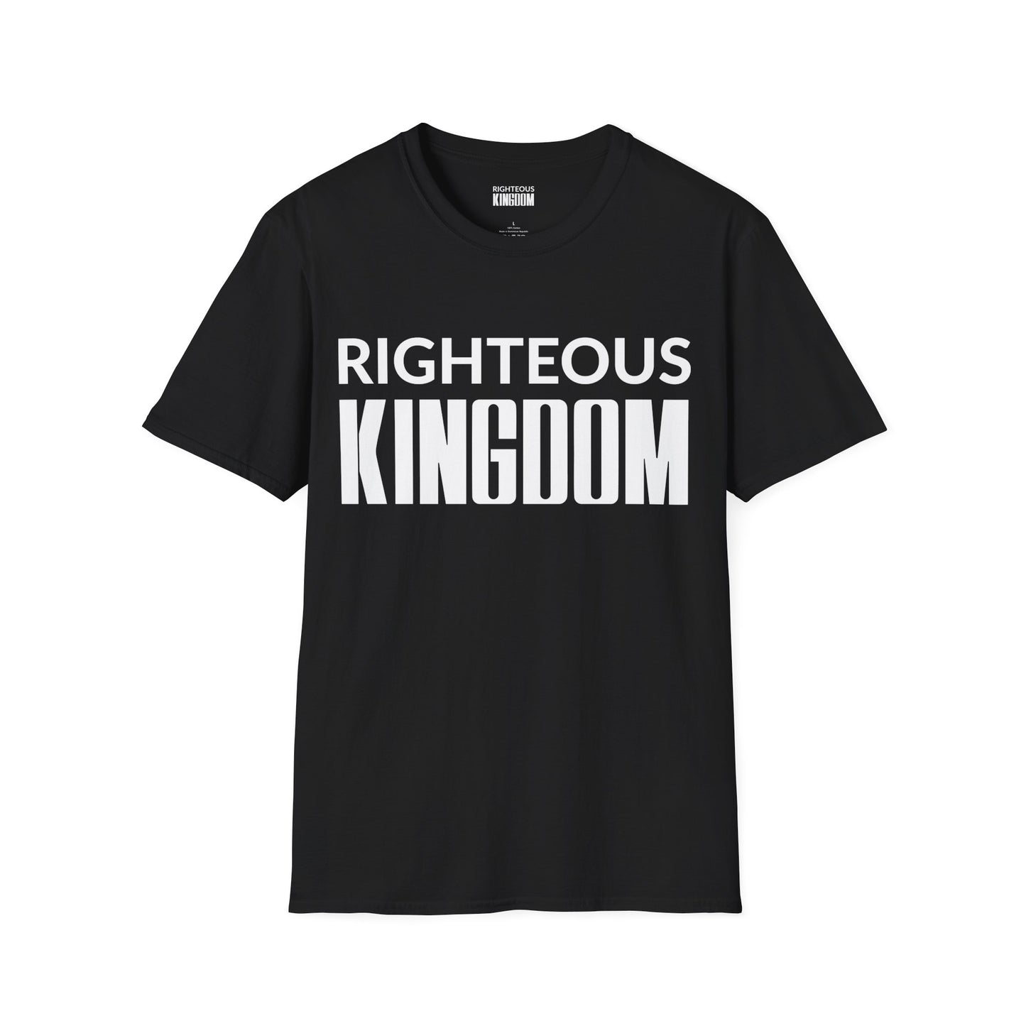Jesus Is The Reason (Unisex Softstyle T-Shirt)
