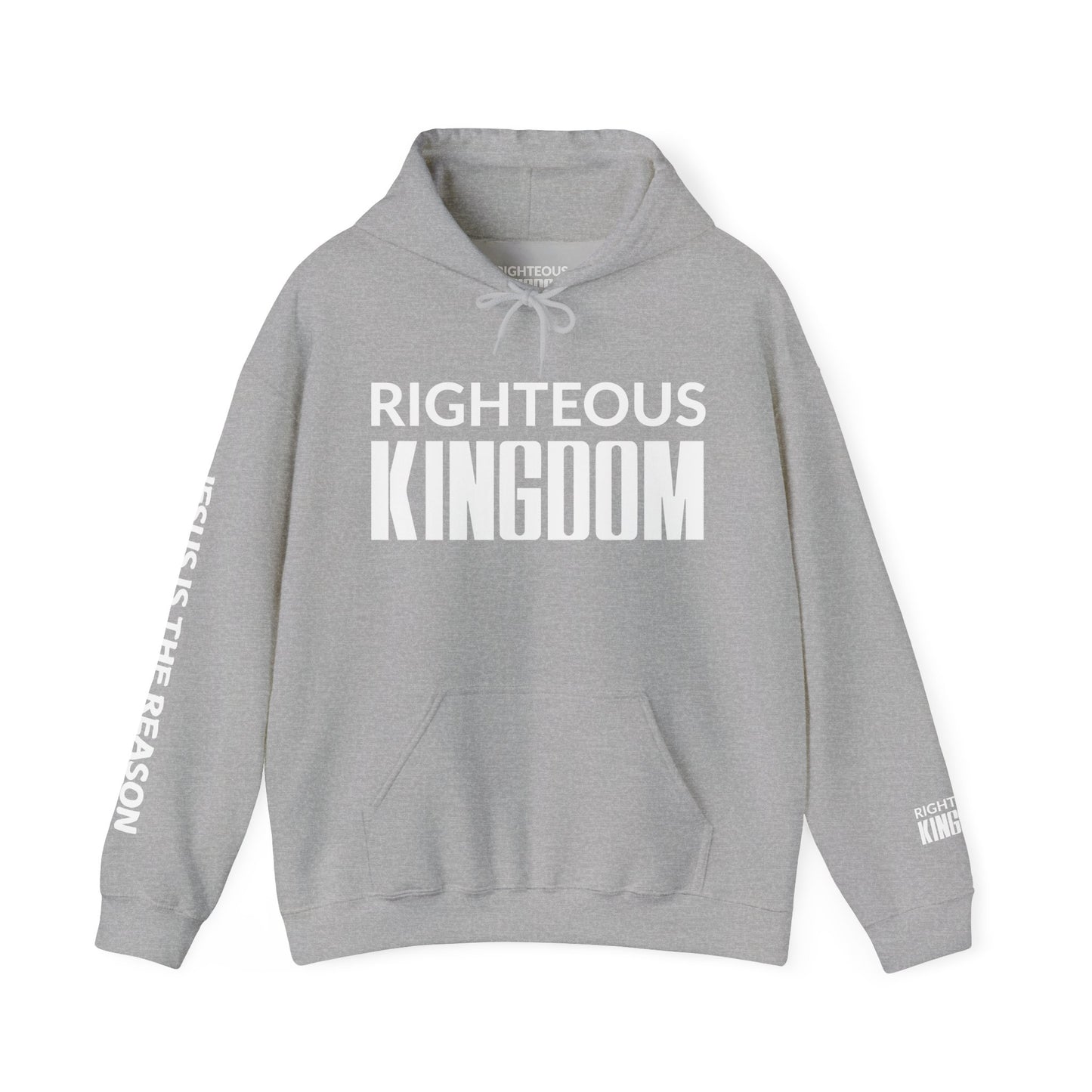 Jesus Is The Reason (Unisex Heavy Blend™ Hooded Sweatshirt)