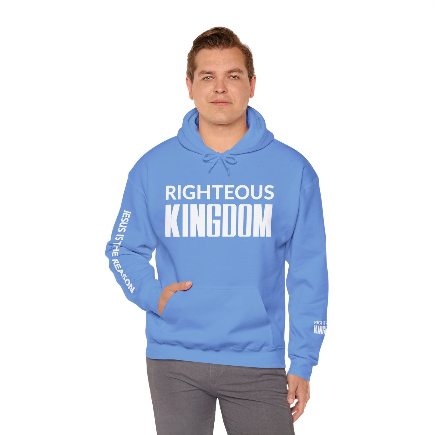 Jesus Is The Reason (Unisex Heavy Blend™ Hooded Sweatshirt)