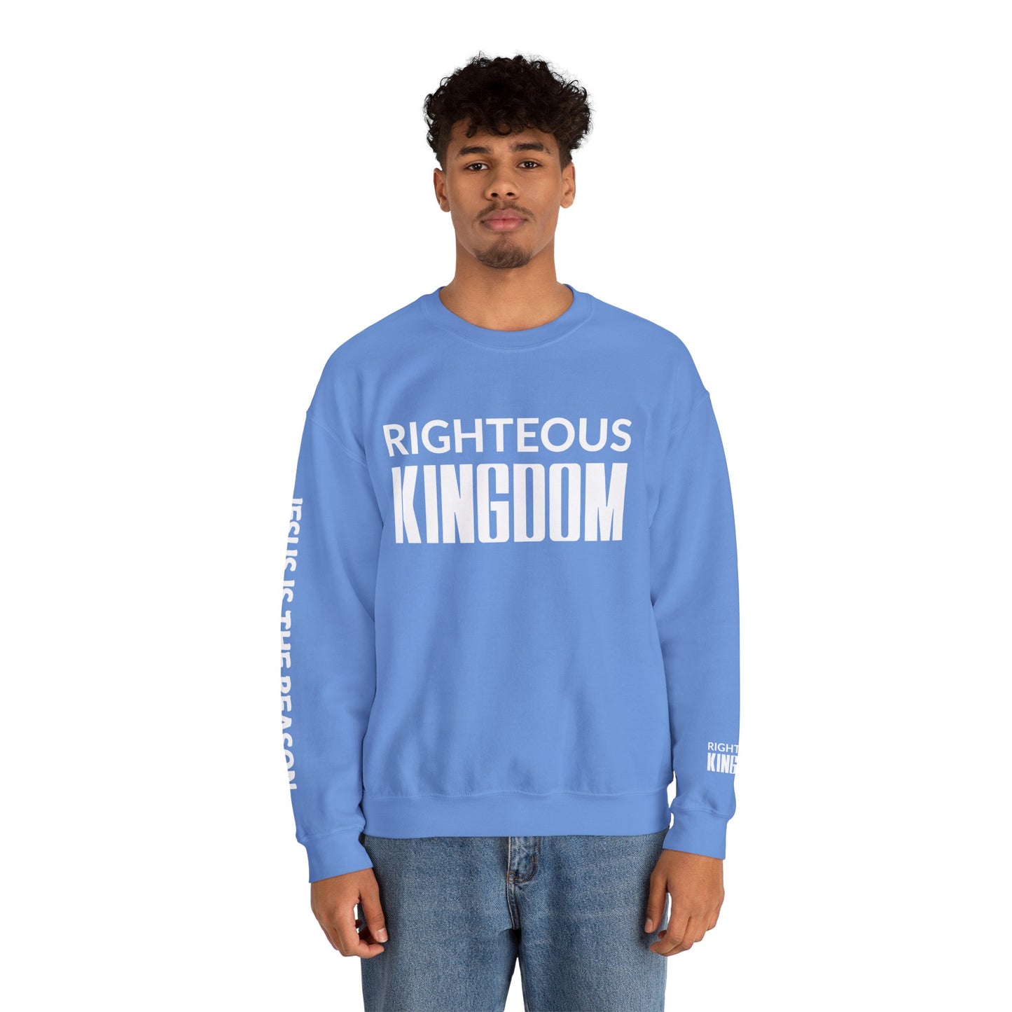 Jesus Is The Reason (Unisex Heavy Blend™ Crewneck Sweatshirt)