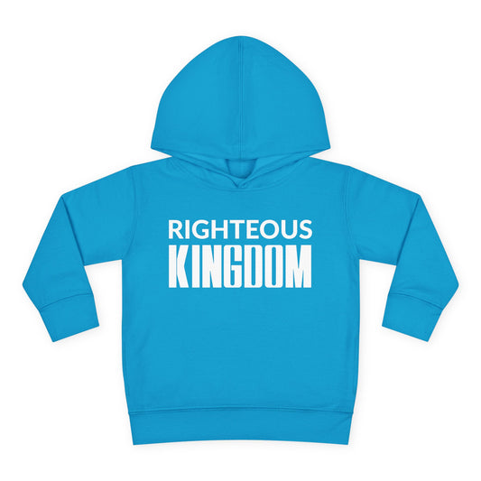 Jesus Is The Reason (Toddler Pullover  Fleece Hoodie)