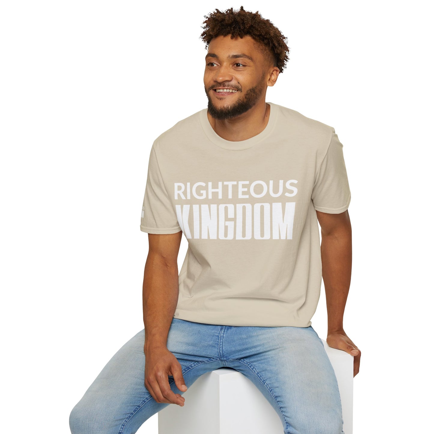 Jesus Is The Reason (Unisex Softstyle T-Shirt)